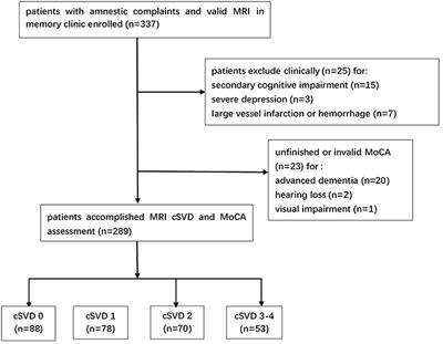 Total Cerebral Small Vessel Disease Burden on MRI Correlates With Cognitive Impairment in Outpatients With Amnestic Disorders